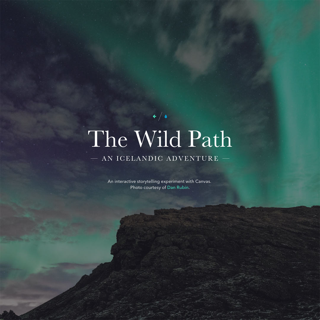 Screenshot of The Wild Path