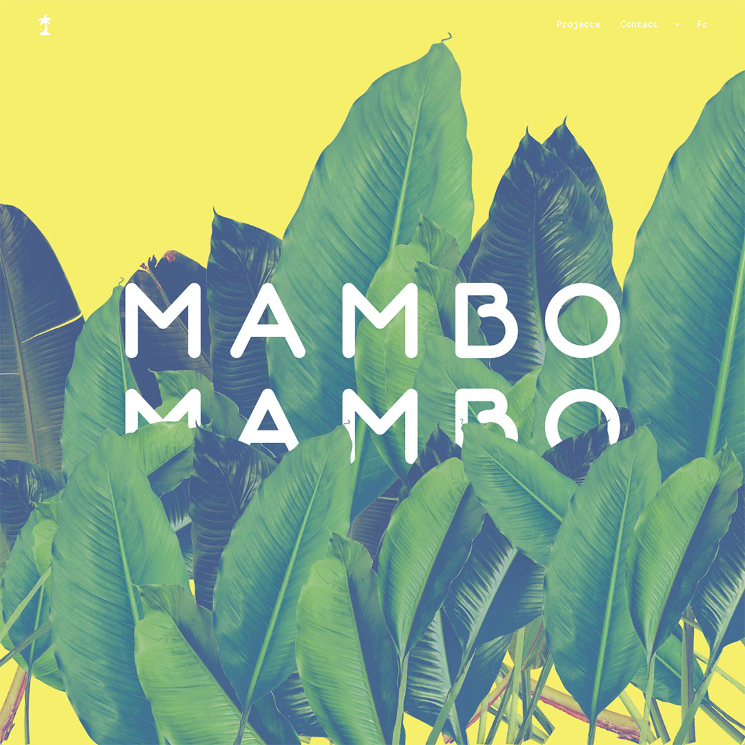 Screenshot of Mambo Mambo